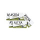 Żyletki ASTRA Superior Platinium (zielone) 25 sztuk